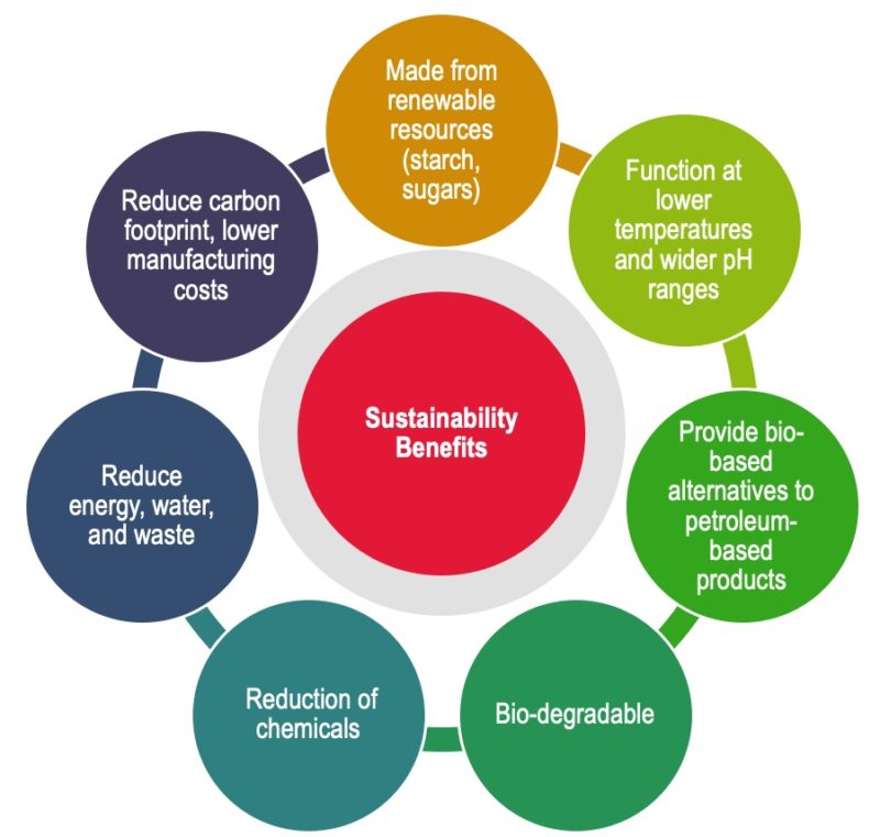 Sustainability | Enzyme Technical Association
